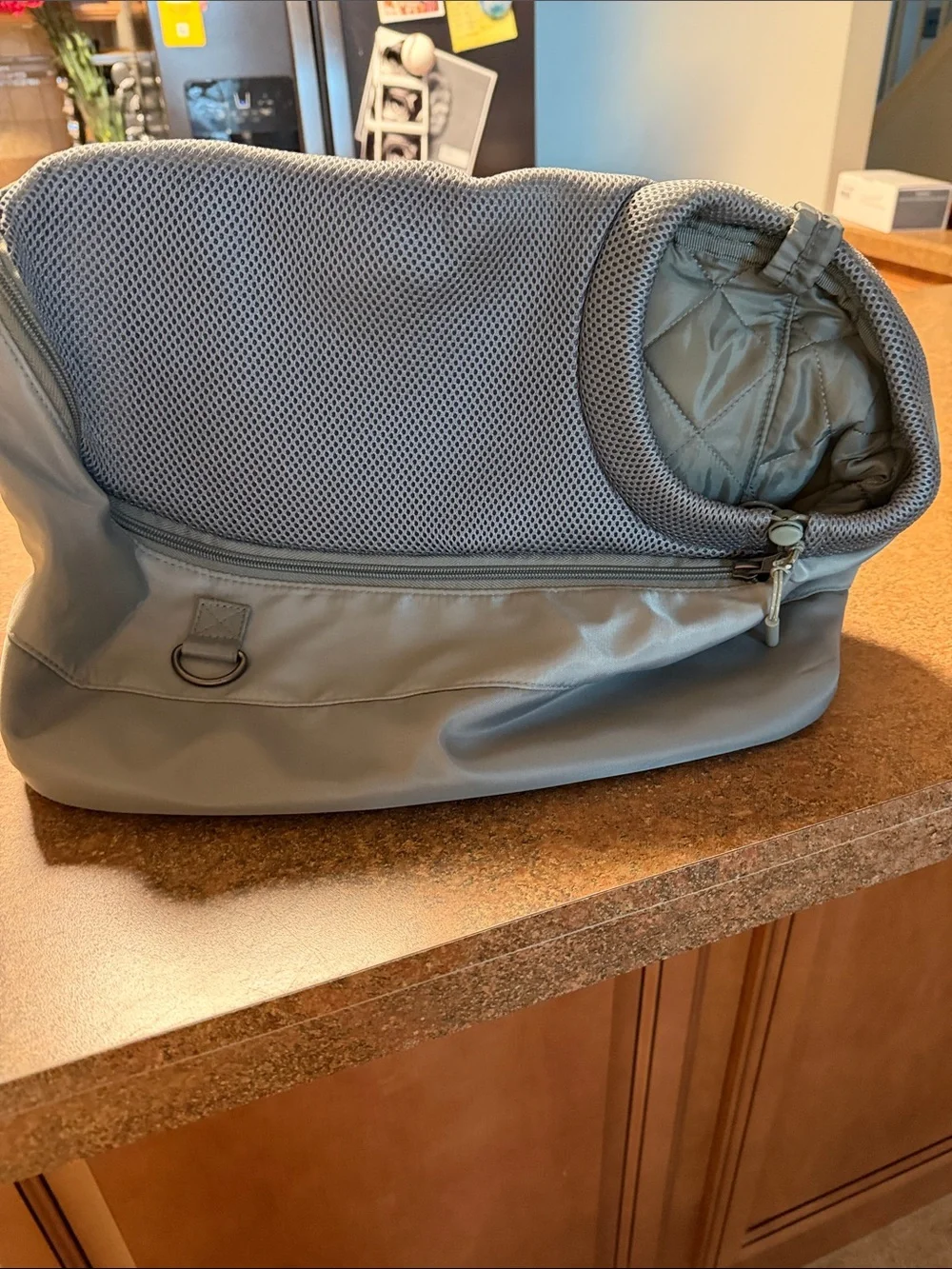 Dog carrier top paw